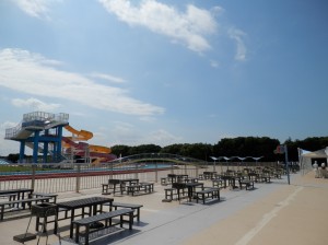 wpid-p9130759.jpg