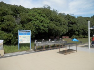 wpid-p9130761.jpg