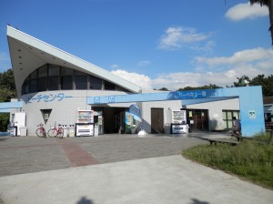 wpid-p9130767.jpg