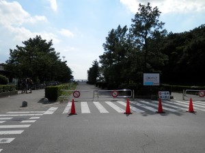 wpid-p9130772.jpg